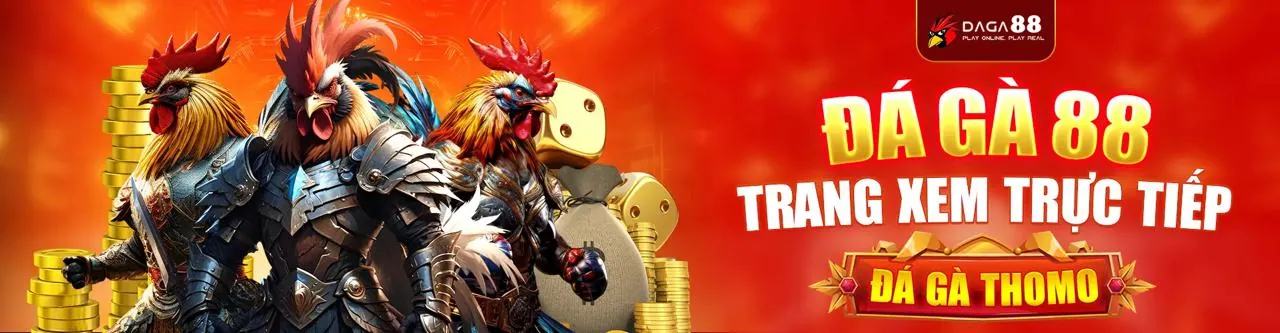 Hình ảnh banner tìm kiếm liên kết KU11 đáng tin cậy